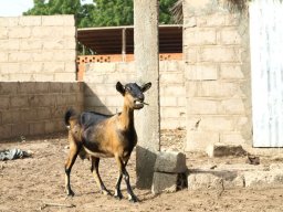 262369_10150257391044901_7044769_n